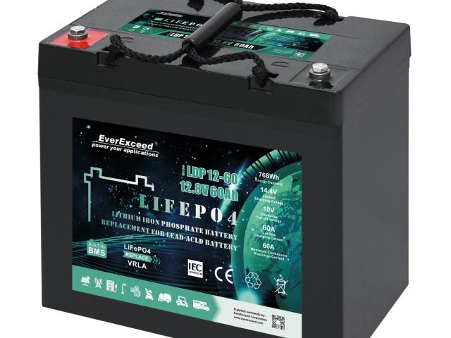 EverExceed LDP 12-60
